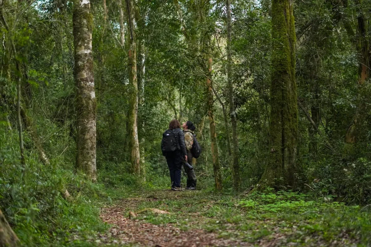 selva. Turismo