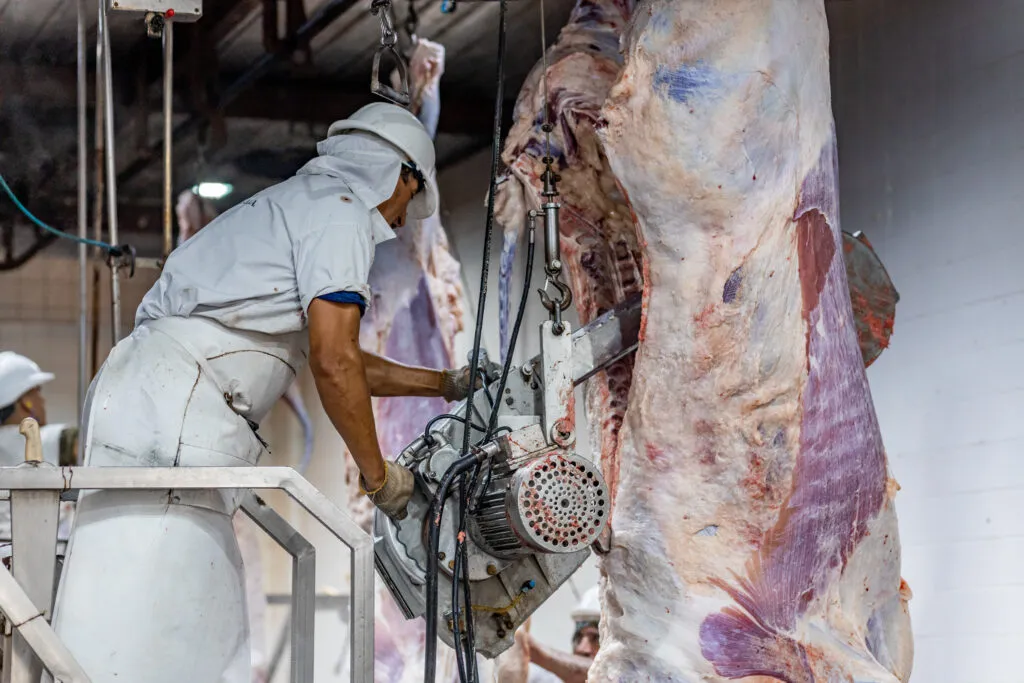 57-de-1397X6A8542-1024x683