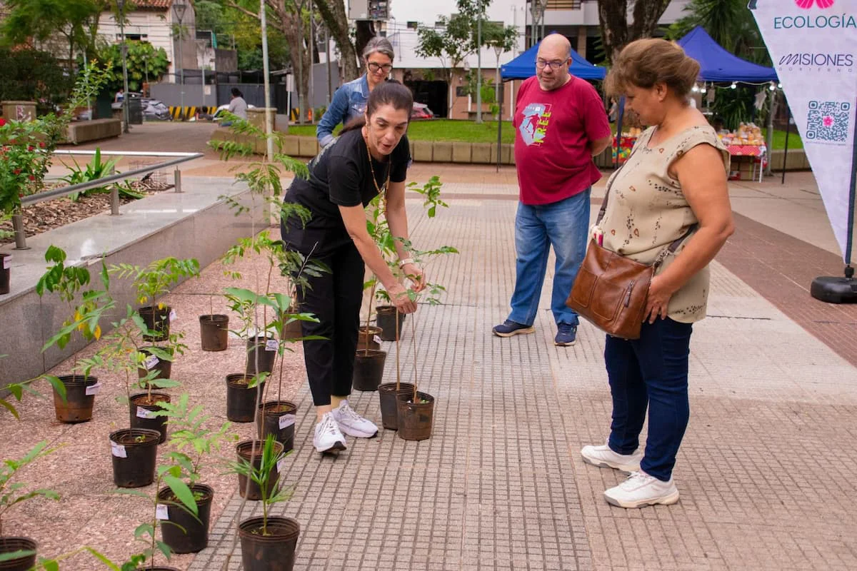 Plantas 
